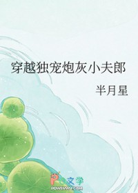独宠小夫郎沈闲辞下载
